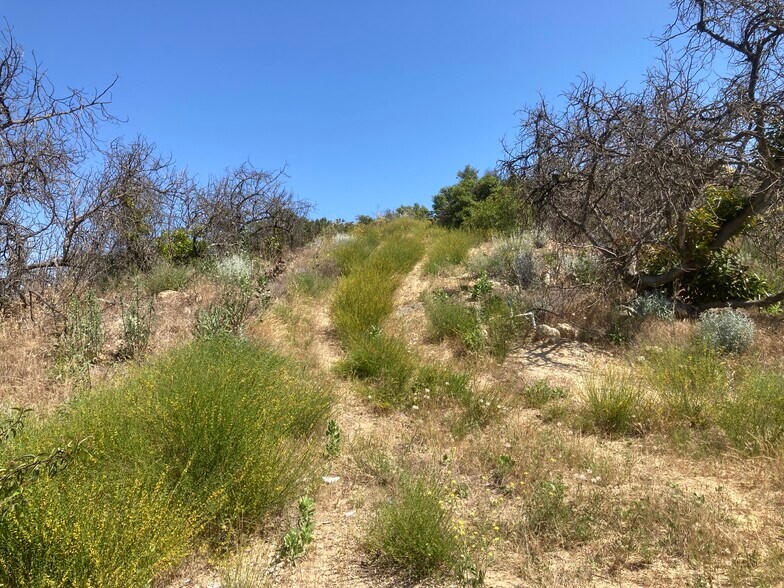 More Photos Of 1 Crumley, Temecula Land For Sale