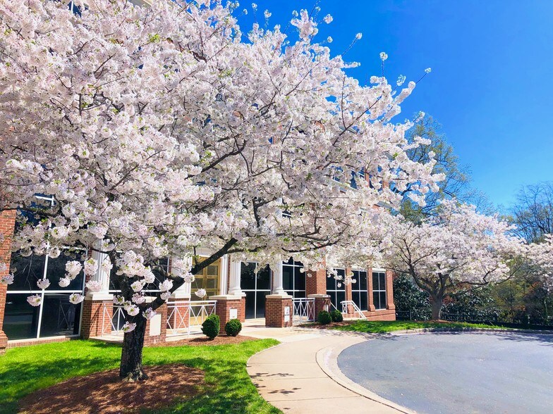 More Photos Of 200 Providence Rd, Charlotte Office Residential For Lease