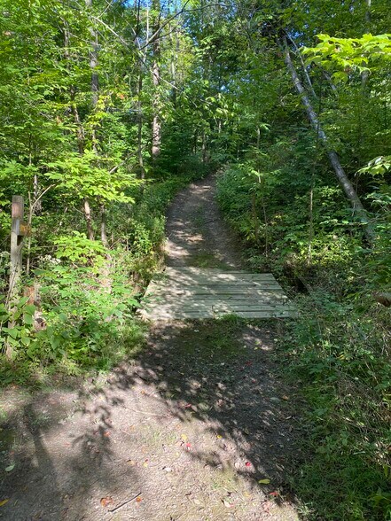 More Photos Of 7294 County Road 132, Ovid Land For Sale