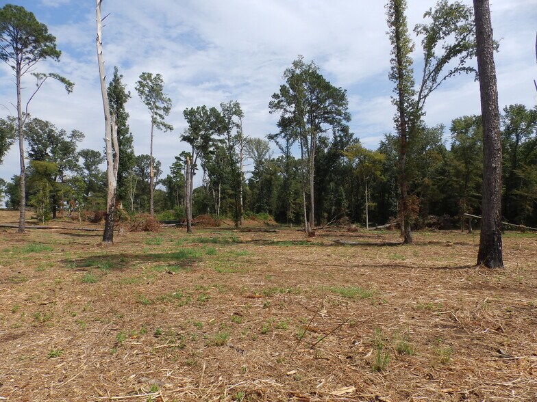 More Photos Of 16393 Highway 31, Tyler Land For Sale