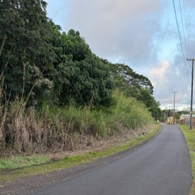 More Photos Of 3-1-5-002-002, Pahoa Land For Sale