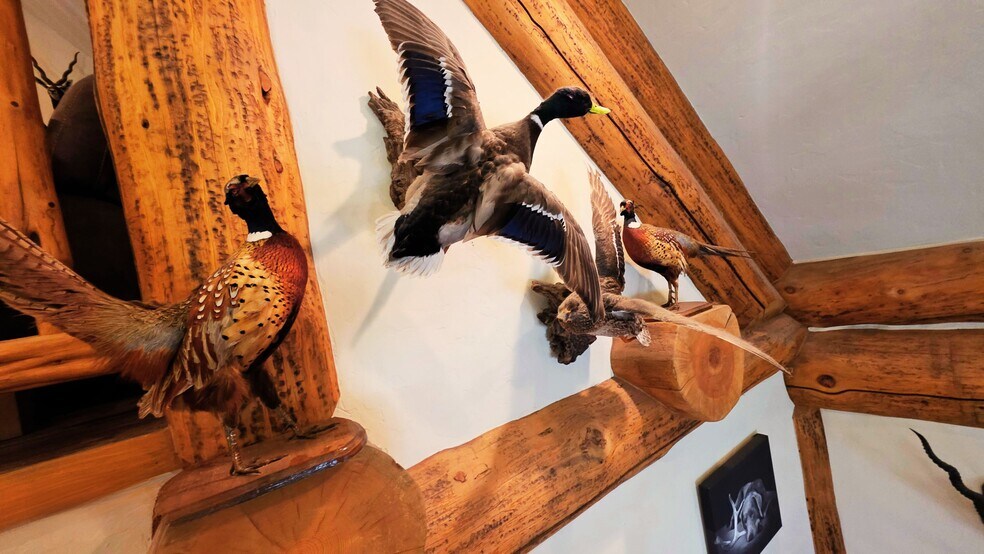 More Photos Of 4335 US-190, Rochelle Land For Sale