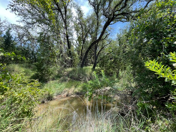 More Photos Of 221 W Rolling Oaks Dr, Goldthwaite Land For Sale