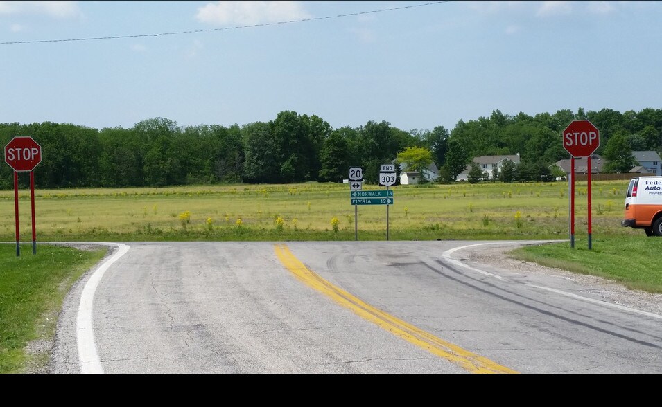 More Photos Of US SR 20 HWY (Hyde Street), Wakeman Land For Sale