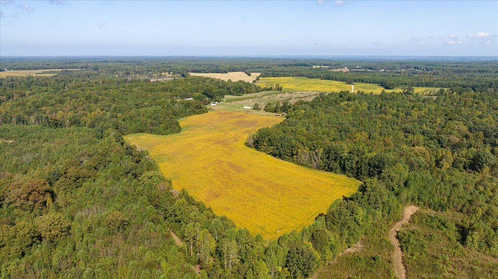 More Photos Of 667 Hustle Rd, Hustle Winery Vineyard For Sale