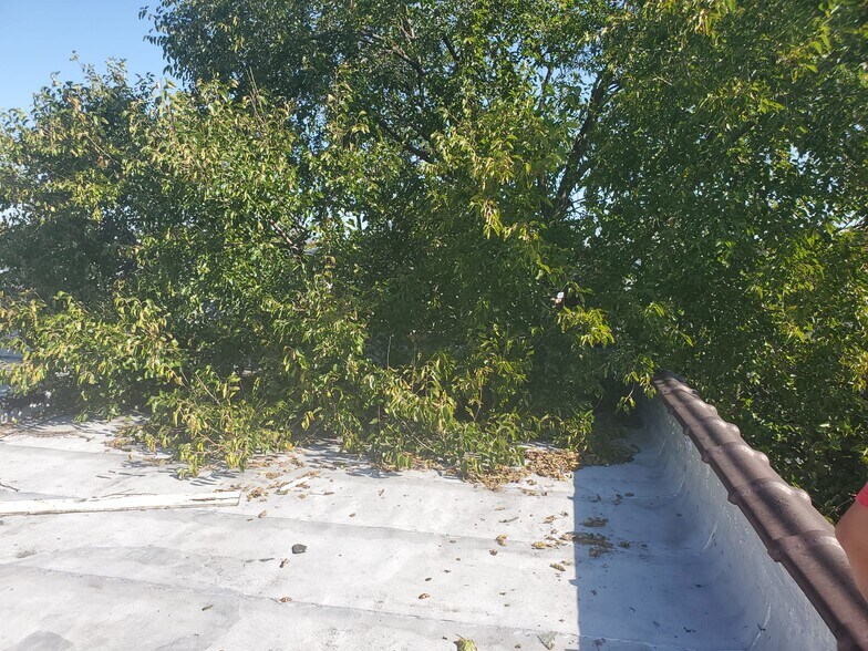 More Photos Of 149 E 96th St, Brooklyn Apartments For Sale