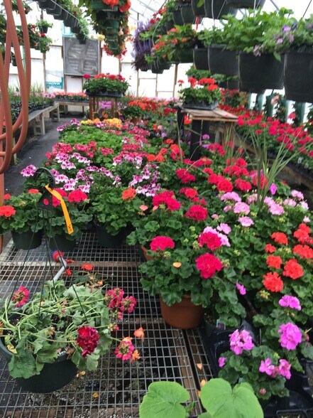 More Photos Of 2774 Oneida St, Sauquoit Specialty For Sale