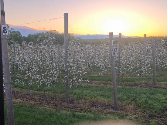 More Photos Of 5630 Norris Ave, North Rose Land For Sale