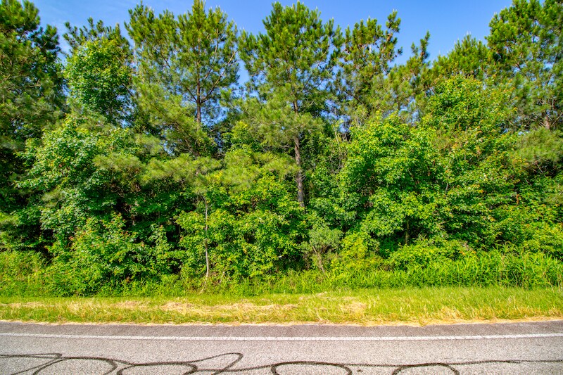 More Photos Of NC Hwy 94, Creswell Land For Sale