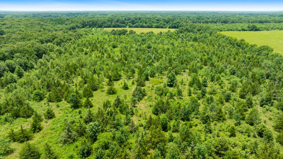 More Photos Of 449 County Road 1357, Clarksville Land For Sale