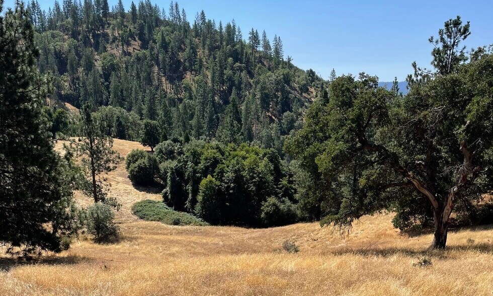 More Photos Of 00000 Forrest Road 1N19, Tuolumne Land For Sale