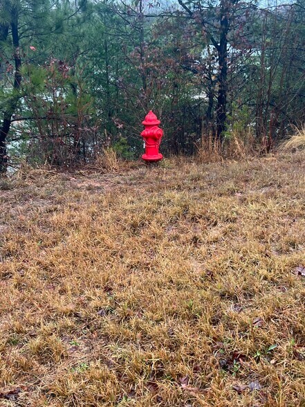 More Photos Of 1972 Red Oak Flats Rd, Dahlonega Warehouse For Sale