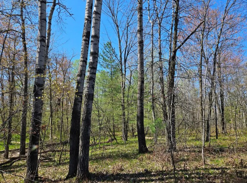 More Photos Of 2935 S Wisconsin Ave, Rice Lake Land For Sale