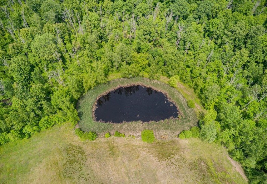 More Photos Of 17071 Ridge Rd, Holley Land For Sale