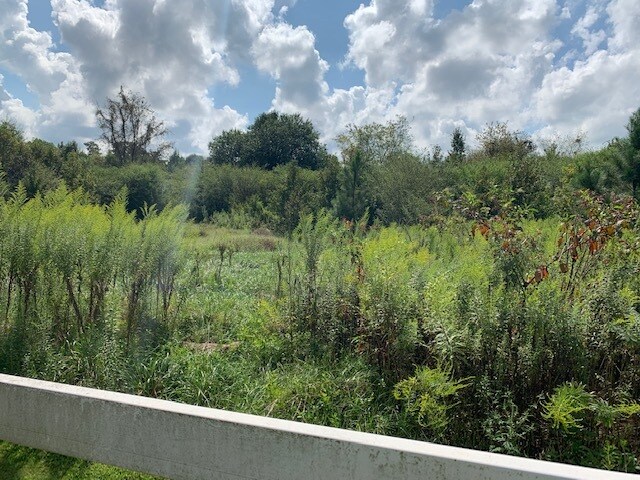 More Photos Of 0 Old Newnan Rd, Carrollton Land For Sale