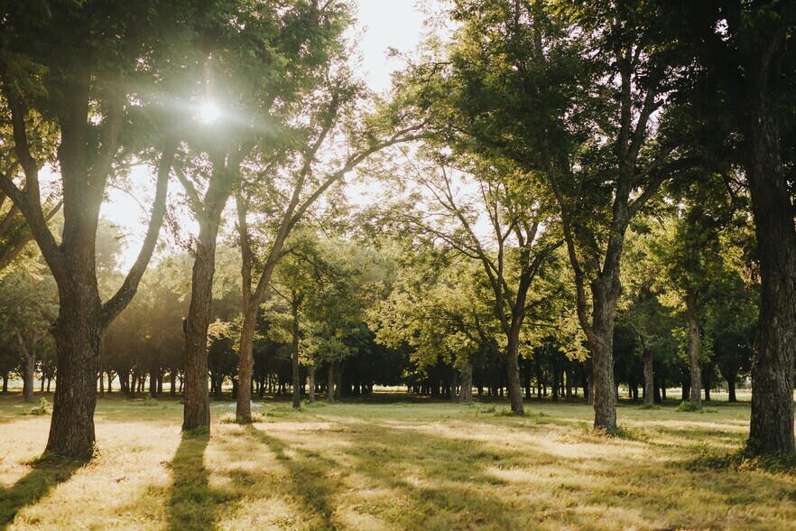 More Photos Of 8323 Highway 29, Georgetown Land For Sale