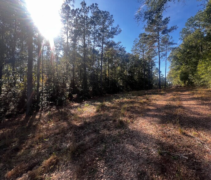 More Photos Of 0 Highway 198, Lucedale Land For Sale