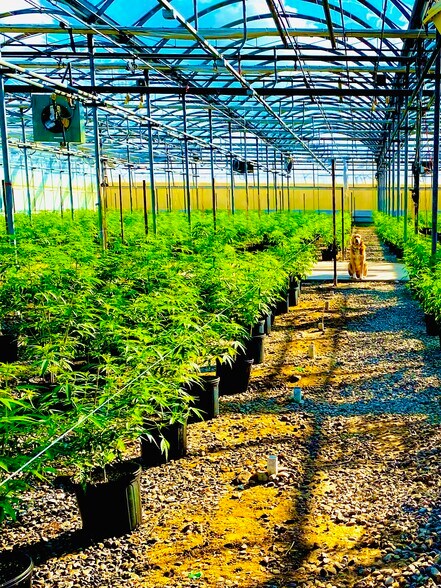 More Photos Of 609-621 E Maple Ave, Newark Light Manufacturing For Lease