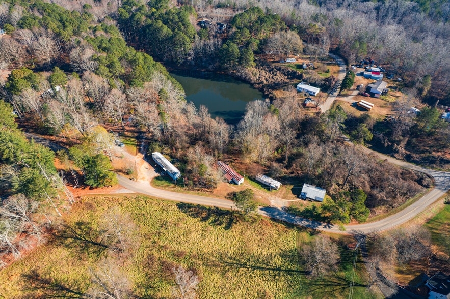 More Photos Of , Jasper Unknown For Sale