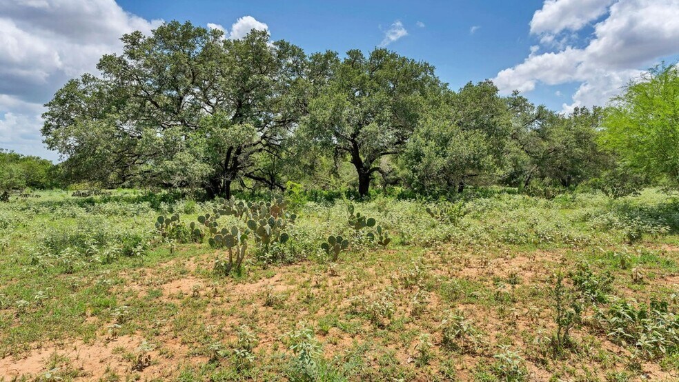 More Photos Of 209 FM 1344, Floresville Land For Sale