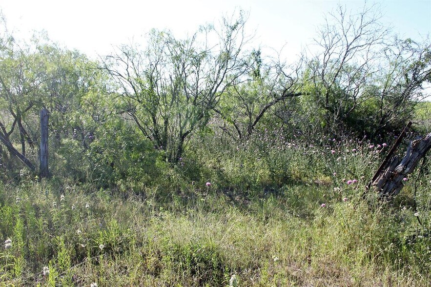 More Photos Of 8079 fm 2001, Niederwald Land For Sale