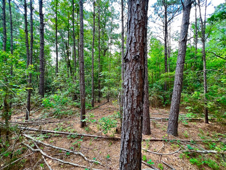 More Photos Of 2700 Ford Chapel, Lufkin Land For Sale