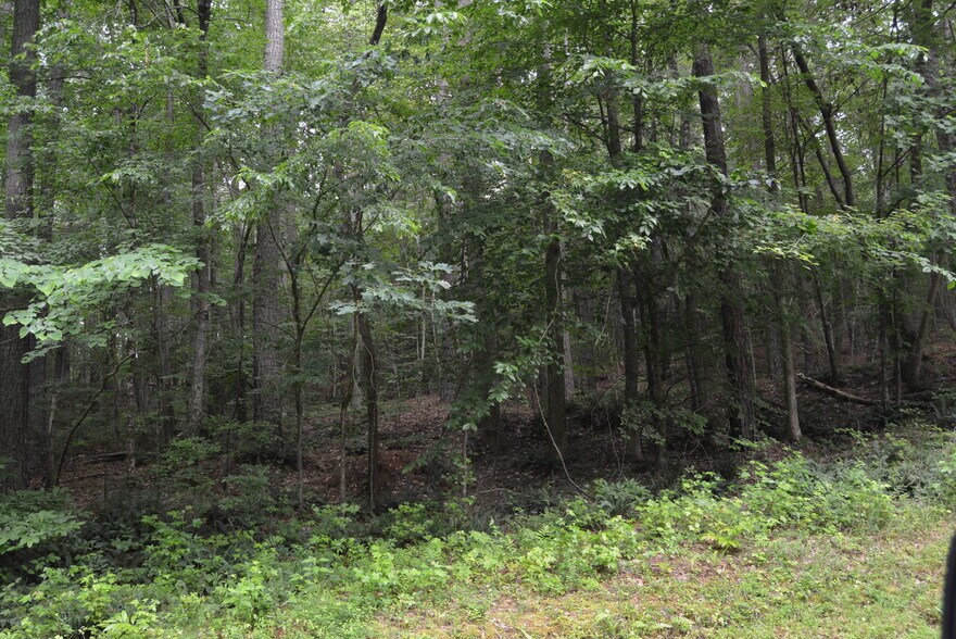 More Photos Of 0 Tom Wright Rd, Franklinton Land For Sale