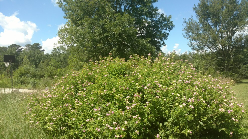 More Photos Of 673 England Chapel Rd, Jenkinsburg Apartments For Sale