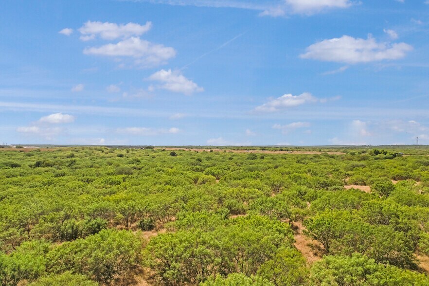 More Photos Of 6484 State Park Rd, Lockhart Land For Sale