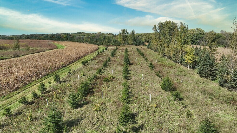 More Photos Of Red Ball Rd, Rockford Land For Sale