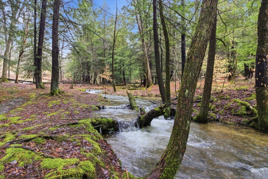 More Photos Of 89 Nolan Rd, Penfield General Retail For Sale