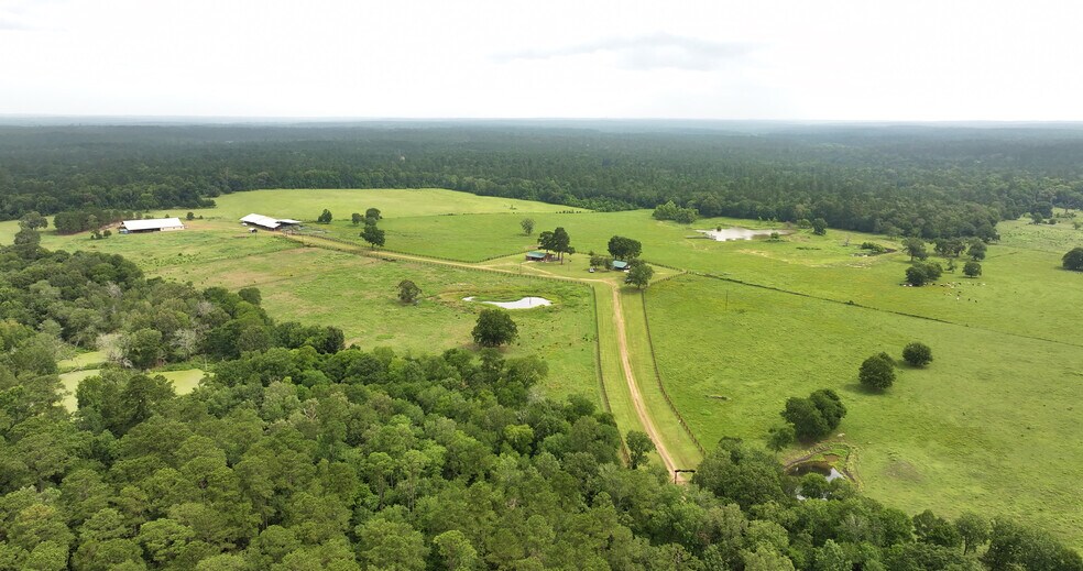 More Photos Of 44 Bucking Bull Rd, New Waverly Land For Sale