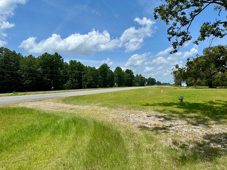 Primary Photo Of 119 Flagon Rd, Dry Prong Land For Sale
