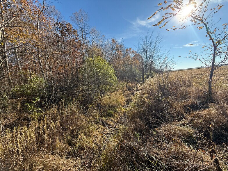 More Photos Of 4305 PLEASANT CENTER Rd, Yoder Land For Sale