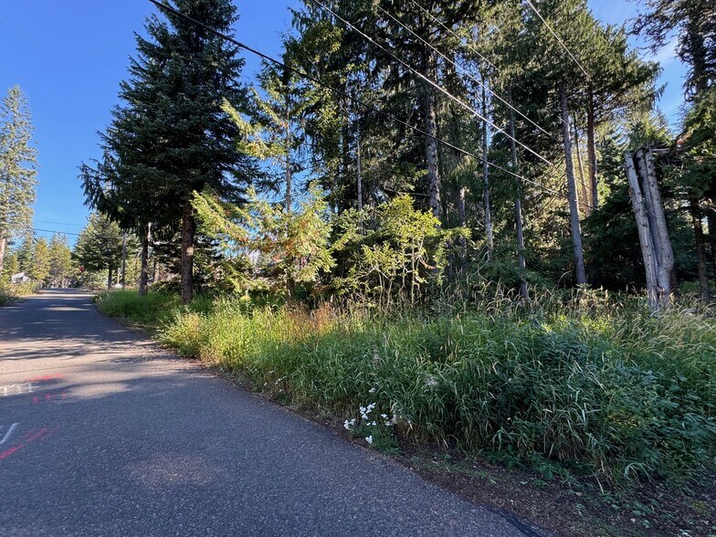 More Photos Of 88730 E Government Camp Loop, Government Camp Land For Sale
