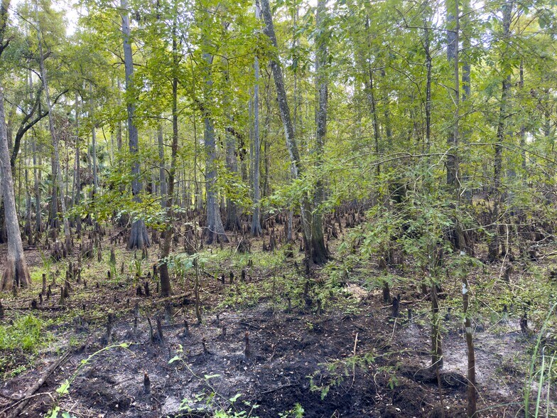 More Photos Of W C 48, Bushnell Land For Sale