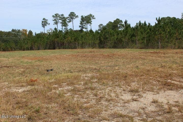 More Photos Of 3.5 Acres Tucker Rd, Vancleave Land For Sale