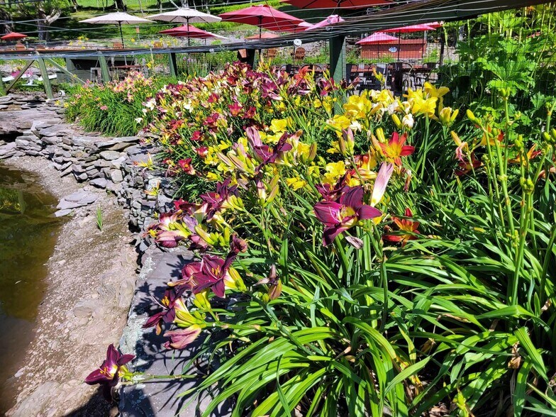 More Photos Of 304 Sutherland Rd, East Meredith Specialty For Sale