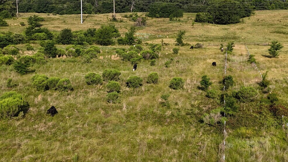 More Photos Of TBD FM 857 Rd, Grand Saline Land For Sale