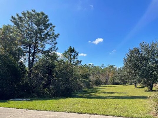 More Photos Of 225, 245, 265 Memorial Pky, New Smyrna Beach Land For Sale