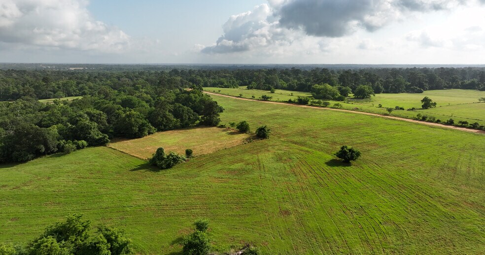 More Photos Of 2268 FM 1486, Montgomery Land For Sale