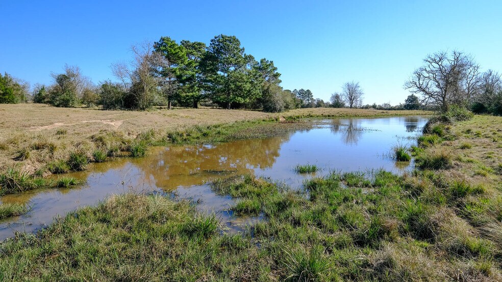 More Photos Of 26266 Fields Store Rd., Waller Land For Sale