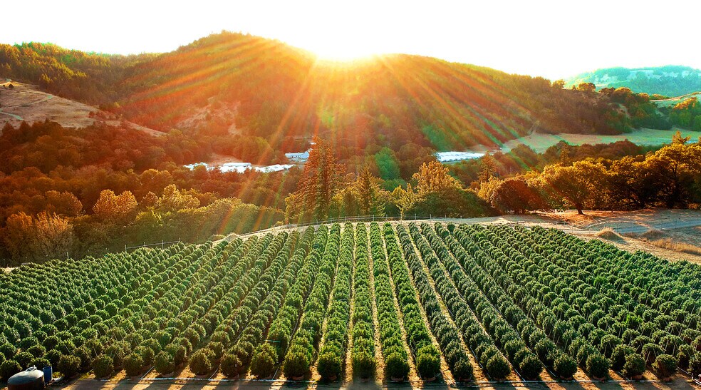 More Photos Of 220 Wilder Ridge rd, Honeydew Land For Sale