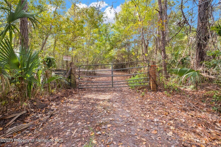 More Photos Of 0 Algood Rd, Spring Hill Land For Sale