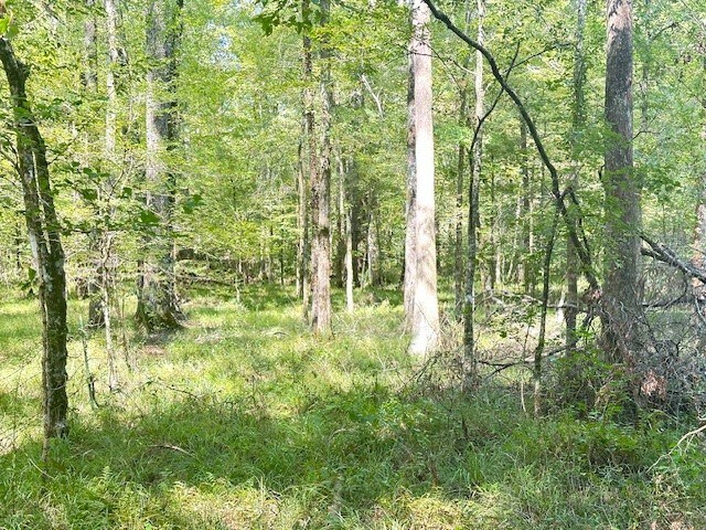 More Photos Of 920 Riser Rd, Ruston Flex For Sale