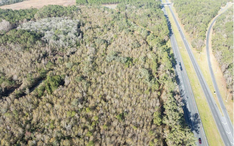 More Photos Of TBD CR 137 & I-10, Wellborn Land For Sale