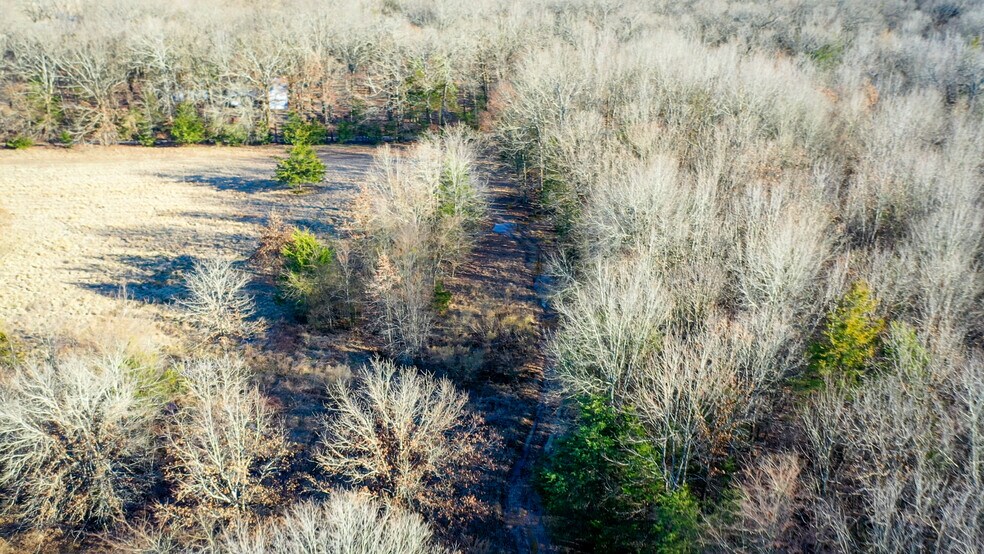 More Photos Of 1200 County 1255 rd, Detroit Land For Sale