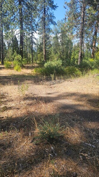 Primary Photo Of 0 Truck Village Dr, Mount Shasta Land For Sale