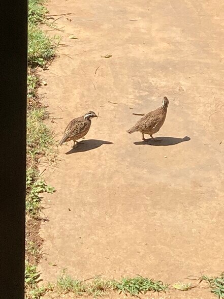 More Photos Of 629 Elliott Rd, London Land For Sale