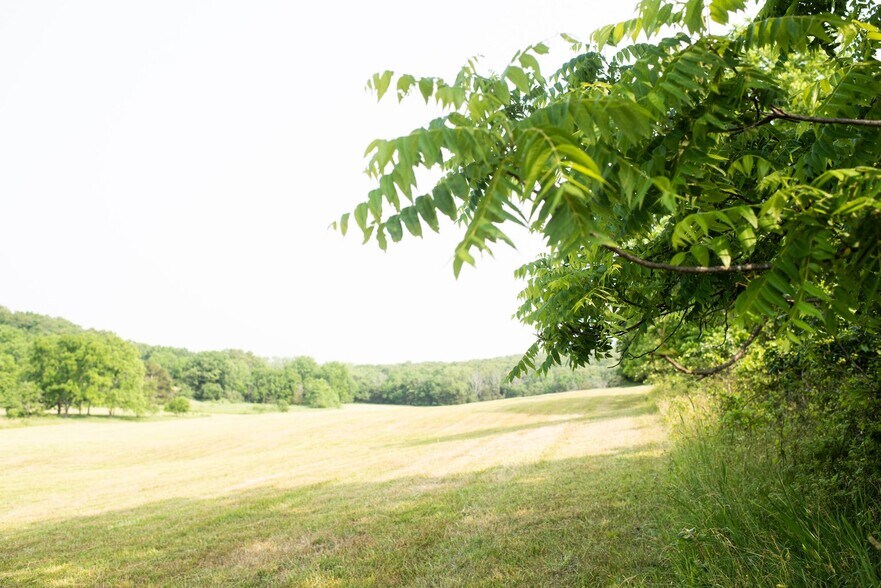 More Photos Of 17551 Longview Rd, Elk Creek Land For Sale